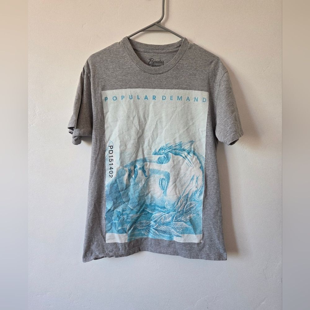 Popular Demand Graphic Tee Gray Blue Streetwear Grunge Skater Punk 90s Y2K M